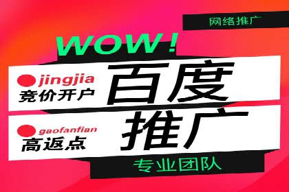 案例分享：SEM百度竞价助力企业业绩增长